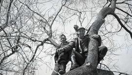 Aux sucres chez M Lefrancois