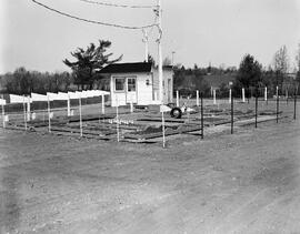 Cloutier, Albert-Édouard
