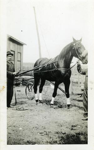 Original Digital object not accessible