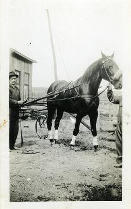 Fortunat Vohl avec son cheval