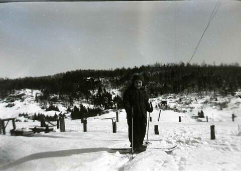 Original Document numérique not accessible