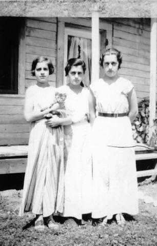 Original Document numérique not accessible