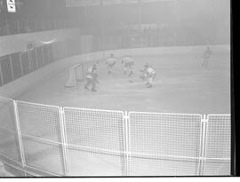 Ligue de hockey