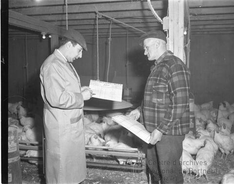 Original Document numérique not accessible