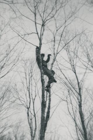 Original Document numérique not accessible