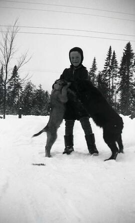 Vachon Alexandre en hiver avec deux chiens