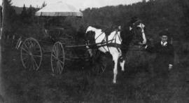 Un homme avec sa calèche à cheval