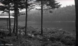 Voyage au Lac Crapaud