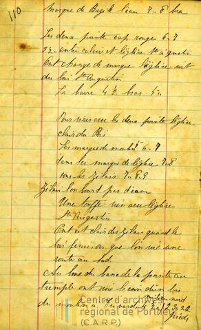 Original Document numérique not accessible