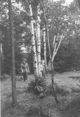 Trois personnes en forêt