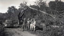 Au club Tourilli avec Alex Germain Joseph Cantin Édouard Piché et Louis Germain