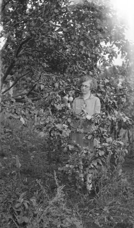 Déry, Georges-Édouard
