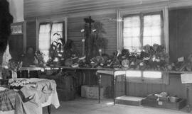 Exposition agricole