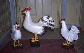 Coq et poule