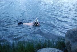 Baignade au Fleuve, Georges-Édouard Nadeau