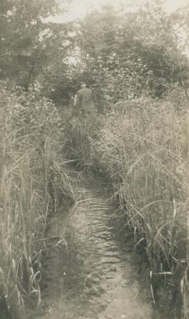 Personne qui marche dehors