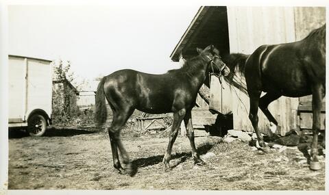 Original Document numérique not accessible
