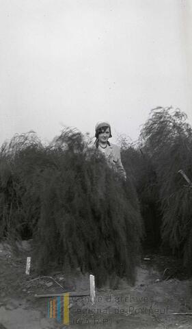 Original Document numérique not accessible