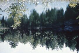 Lac-Vert