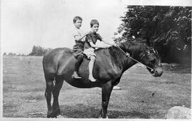 Deux enfants sur un chevals