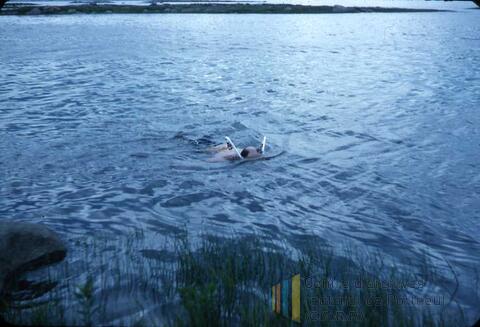 Original Document numérique not accessible