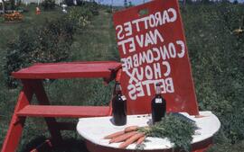Carottes