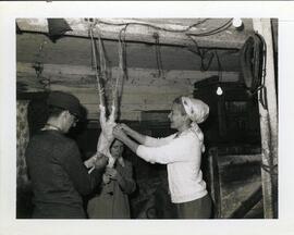 Plumage de la poule par Rémy et Sylvie Vohl et Claire Julien