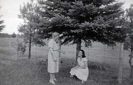 Deux femmes inconnues