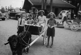 Enfants dans une carriole tirée par un chien