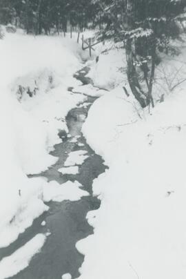 Rivière en hiver
