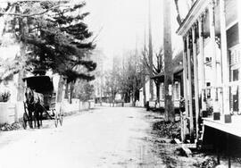 Chemin du roi
