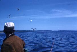 Pêche au doré - Georges-Édouard Nadeau