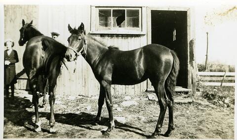 Original Document numérique not accessible