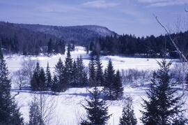 Chalet au Petit-Saguenay