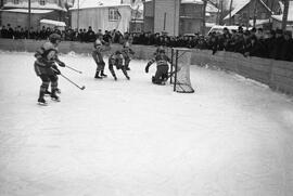 Club de hockey Castors