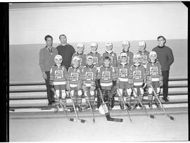 Hockey mineur - Mosquitos