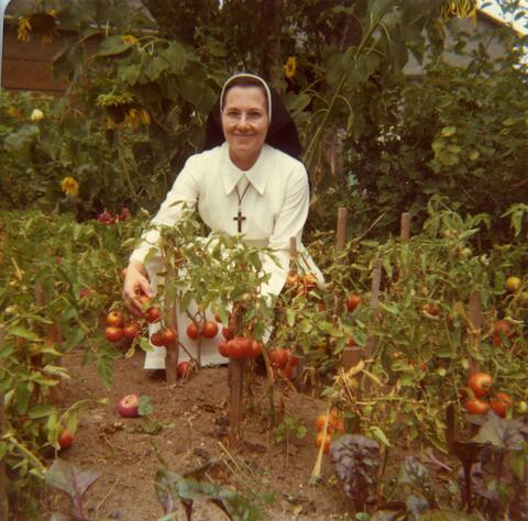 Original Document numérique not accessible