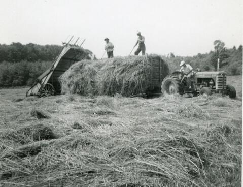Original Document numérique not accessible