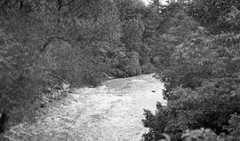 Rivière La Chevrotière