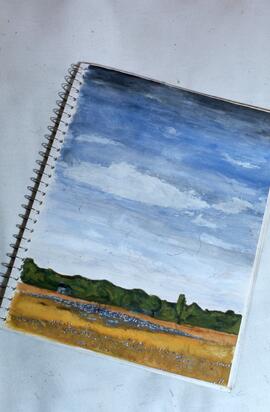 Paysage