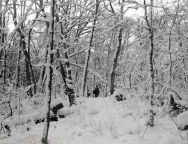 Dans la montagne chez Lionel avec M Lirette et Odilon Vézina