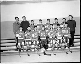 Hockey mineur - Mosquitos