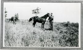 Chevaux de Fortunat Vohl avec Ludger Cloutier