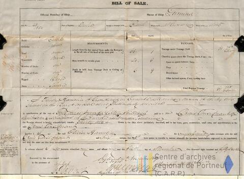 Open original Document numérique