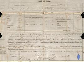 Fonds Hamelin - Delisle