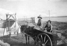 Carrosse à cheval