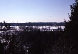 Notre chalet au 1350 Colbert-Saguenay et chez J-Guy Denis