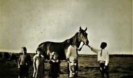 Bernard, Éliette, Claudine, Justin, Paul-Eugène et Fleurette Vohl avec un cheval