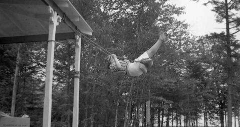 Original Document numérique not accessible