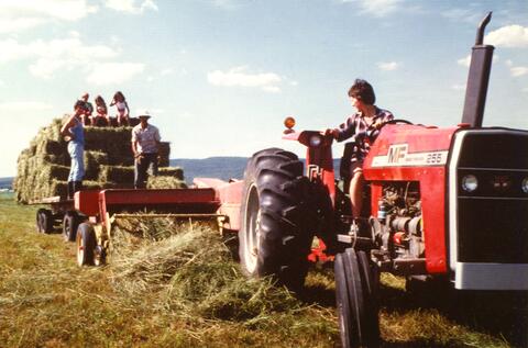 Original Document numérique not accessible